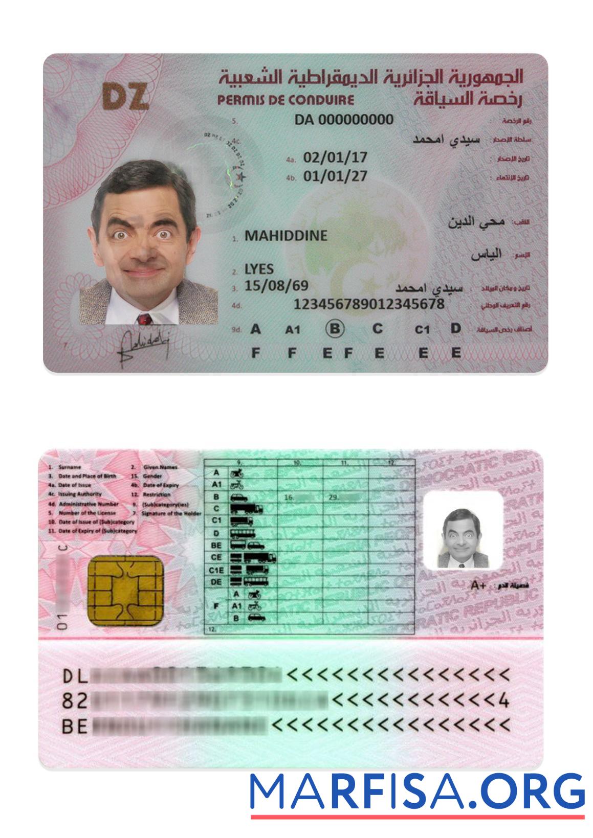 Downloadable Algeria driving license real example